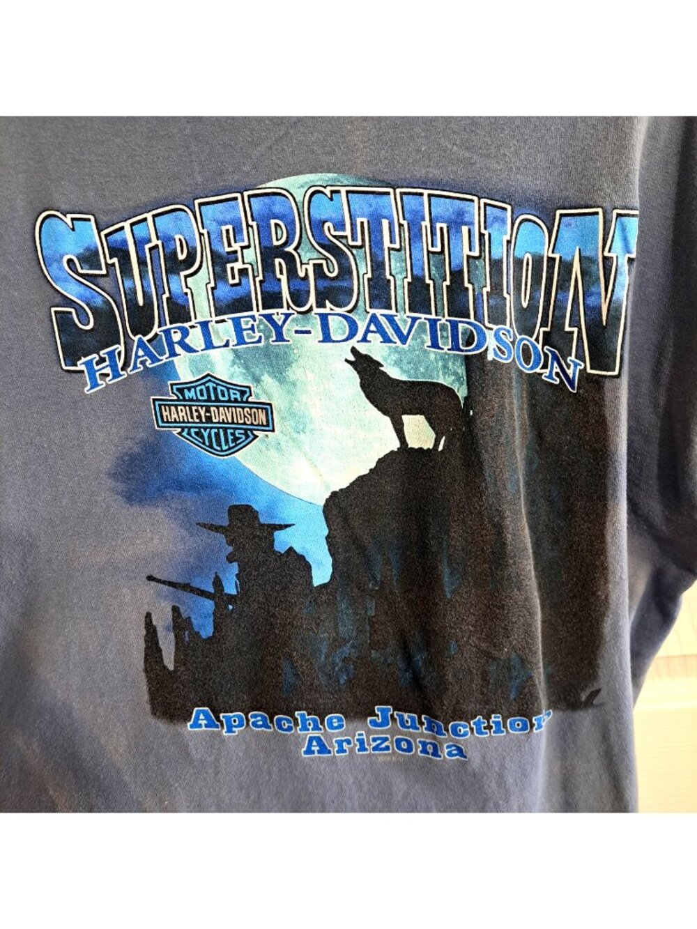 Harley-Davidson Men's L Short Sleeve Superstition Apache Junction Arizona FLAW